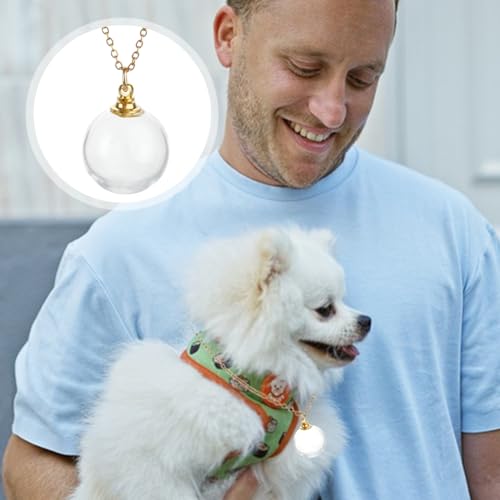 4Pcs Pet Ashes Keepsake Necklace Stainless Steel Cat Dog Ashes Jewellery Pets Memorial Glass Pendant Gold Silver Cremation Urn Necklace for Pet Remembrance Sympathy Gift