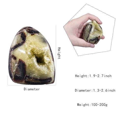 Natural Septarian Dragon Stone Geode Healing Crystal Geode Decor 0.22-0.44lb(100g-200g)
