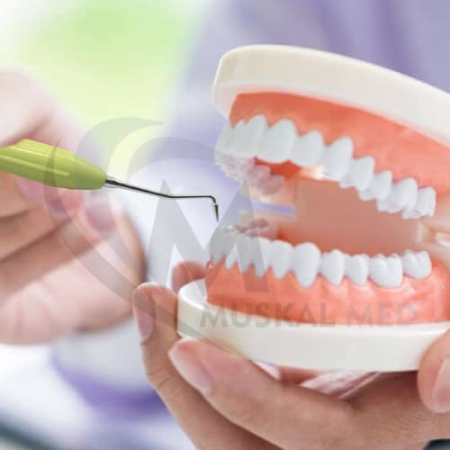 [Australia - AusPower] - Silicone Handle Dental Composite Filling Restorative Instruments Kit 10pcs Tools Set with Cassette DN-2245 