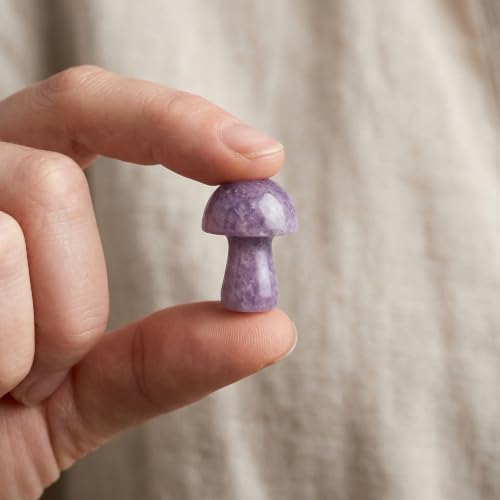 Amethyst Crystal Mushroom in Tin Box, Emotional Support Mushroom Spiritual Gifts for Women, Healing Crystals Home Decoration Gift Set