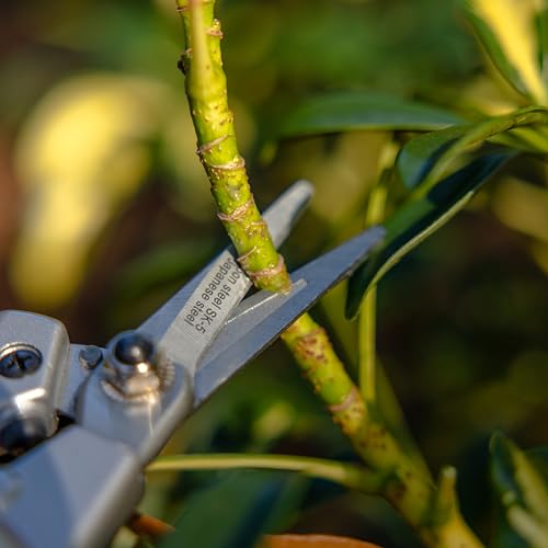 Radius Garden 7-inch aluminum fine pruner scissors with ergonomic grip