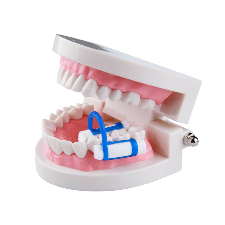 [Australia - AusPower] - 20pcs Cotton Roll Holder Clip, Disposable Dental Isolator Tool Cotton Roll Holder for Dental Lab or Clinic (20pcs) 20pcs 