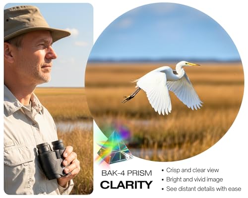 HONTRY Compact Travel Binoculars for Adults and Kids (Black) Black 12.0 x 25.0 Millimeters