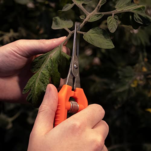 近正 CHIKAMASA TP-530S ultra-light pruning scissors with sharp stainless steel blades