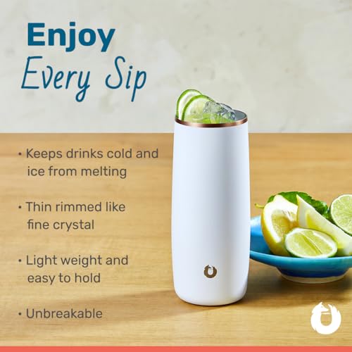 SNOWFOX Premium Vacuum Insulated Stainless Steel Cocktail Glass / Drink Tumbler, Set of 2, Drinks Stay Icy Cold, Thermal Highball Glasses, Elegant Home Entertaining, Classic Barware, 14.5 oz 14.5 Ounces
