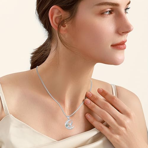 Oinsi Cremation Jewelry Crescent Moon and Hummingbird Urn Necklaces for Ashes for Women Men Rose Ashes Keepsake Memorial Human Ashes Pendant Silver-Colorful