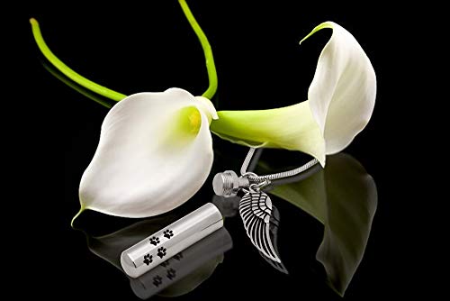 Royal Matter Cylinder with Paw Prints and Angel Wing Stainless Steel Cremation Urn Pendant with Chain-Silver