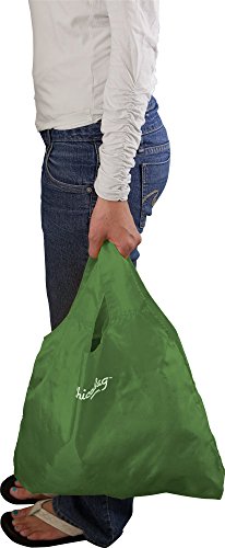 ChicoBag Original Compact Reusable Grocery Bag w/Attached Pouch and Carabiner Clip | Perfect for Shopping, Travel, Organization | Eco-Conscious Packable Tote | Pale Green (Pack of 4)