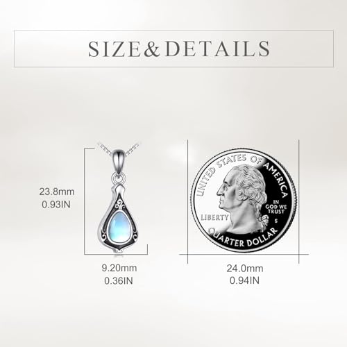 POPLYKE Moonstone Urn Necklace for Ashes 925 Sterling Silver Locket Necklace Cremation Jewelry for Women Men