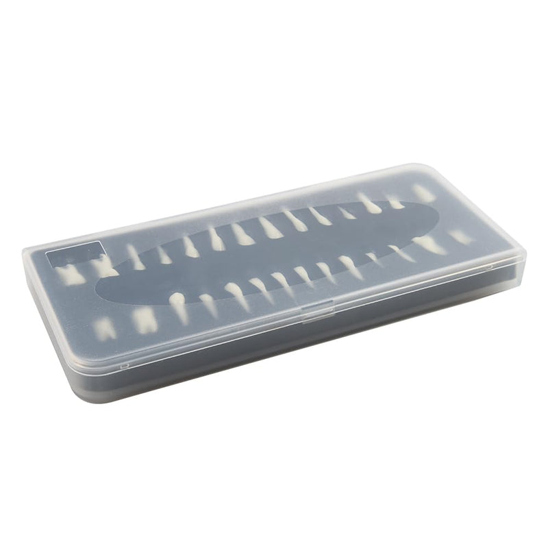 Tooth Model, 1:1 Adult Tooth Model, Permanent Teeth Demonstration Kit | 28 black teeth, 1:1 tooth model made of high-quality resin. Ideal for dental students & teaching. Includes storage box