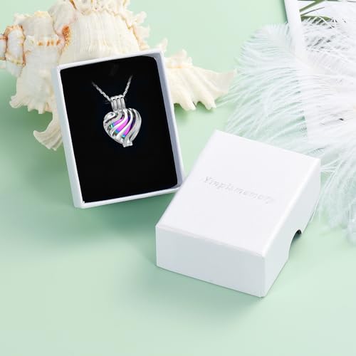 Yinplsmemory Cremation Jewelry Heart Urn Necklace for Ashes for Women Men Rainbow