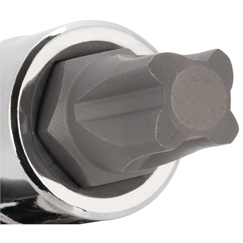 Performance Tool W13500 5-piece 3/8-inch drive Mortorq bit socket set in a compact tool case