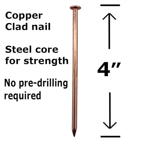 25 4-inch BRAUNY BOY HARDWARE copper-clad masonry nail spikes for killing trees and preventing stump regrowth