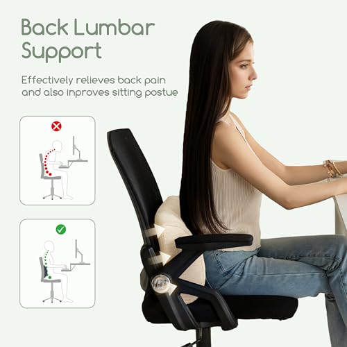 HIGOGOGO Lumbar Support Pillow for Recliner Chair/Accent Chair/Couch, Memory Foam Back Support Cushion for Elderly, Recliner Cushions for Back Rest, Pain Relief, Reading, Washable Cover, Beige 20"x10"x4"