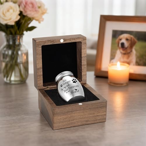 XIUDA Wooden Mini Pet Memorial Small Urns for Dog Ashes Stainless Steel Cremation Mini Urn with Black Walunt Box Funeral Pet Paw Print Keepsake Urn for Ashes 1.57inch Square Box Paw Urn