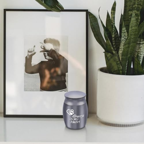Tabanzhe Mini Cremation Urn, Memorial Funeral Cremation Urn - Personalised Stainless Steel Metal Keepsake Holder for Human and Pet Families Ashes(Black)