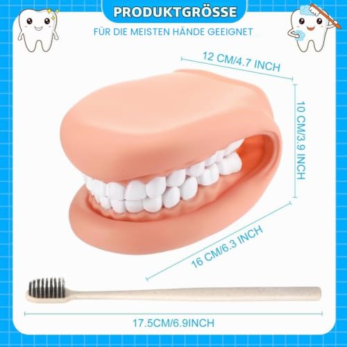 Dental Model Dental Model, Hand Puppet, Teeth Mouth Model with Toothbrush, Demonstration Anatomical Tooth Model for Dental Teaching or Oral Care
