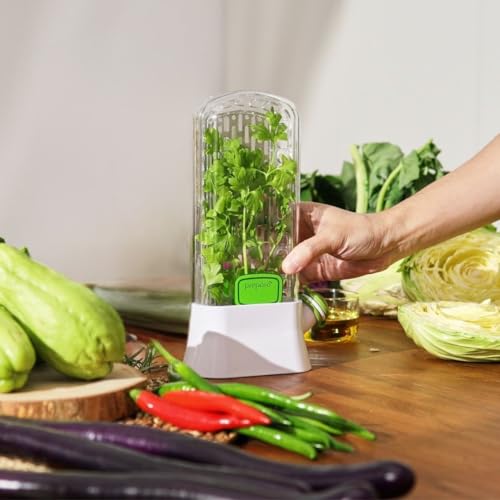 Clear Prepara Herb Savor food jar for fresh herbs, with a sleek design and airtight lid, perfect for storing herbs in the kitchen.