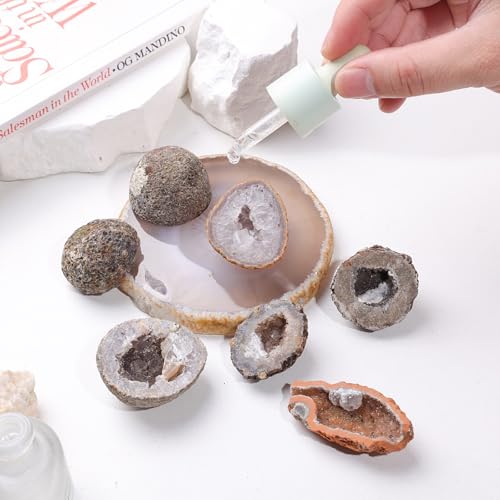 Natural Agate Stone Geodes Raw Agate Geode Mineral Specimen 0.98"-2.56" (0.02-0.11 lb)