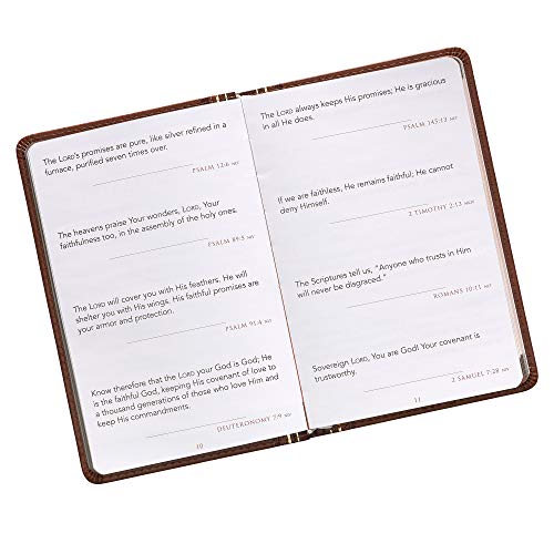 Promises From God For Every Man - Faux Leather Edition