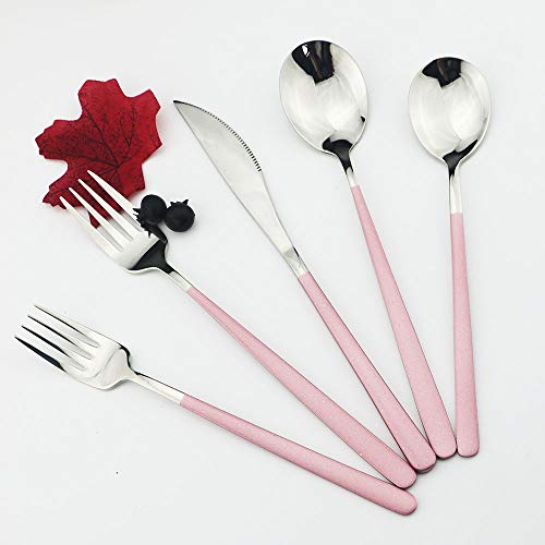 JASHII 20-Piece SUS304 Stainless Steel Flatware Set, Mirror Polishing Dinnerware Set Service for 4, Knife/Fork/Spoon/Dessert Spoon/Dessert Fork (Pink silver) Pink silver