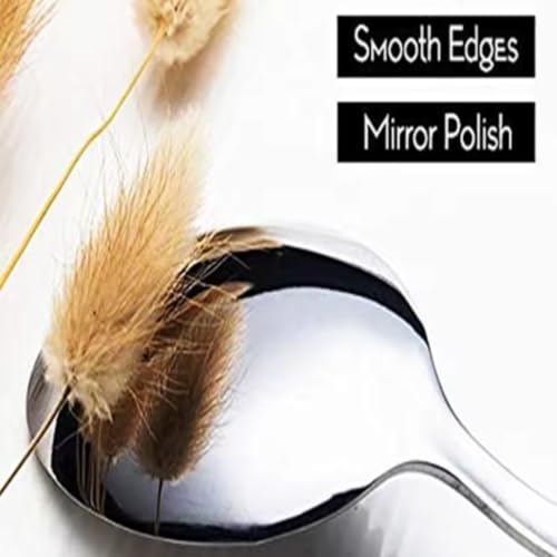Dinner Spoon, 7.5 Inch Stainless Steel Soup Spoon for Home, Kitchen or Restaurant, Non-toxic & Mirror Polished, Squared Edge & Dishwasher Safe (12 Pcs Spoons) 12 Pcs Spoons