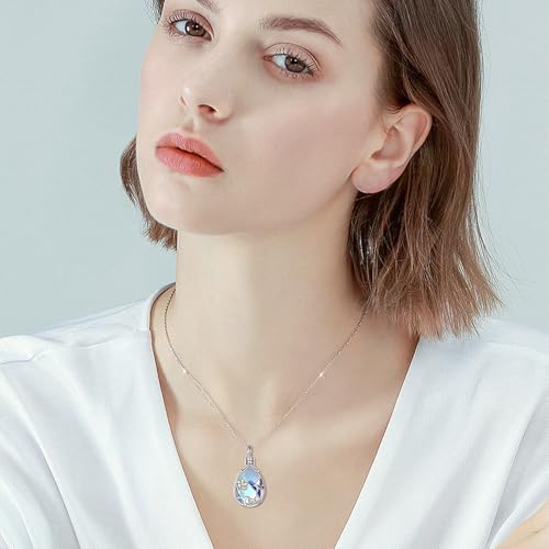 YFN Hummingbird Cremation Urn Necklace for Ashes, 925 Sterling Silver Hummingbird Urn Moonstone Jewelry for Women Men