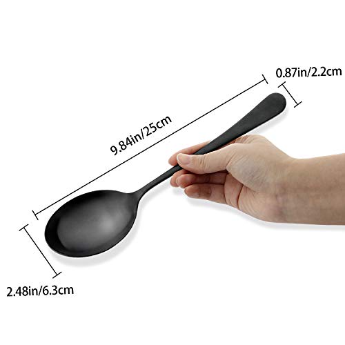 AOOSY 6 Pcs Matte Black X-Large Servin Spoons, 9.8 In Serving Tablespoons 6Pcs-Black