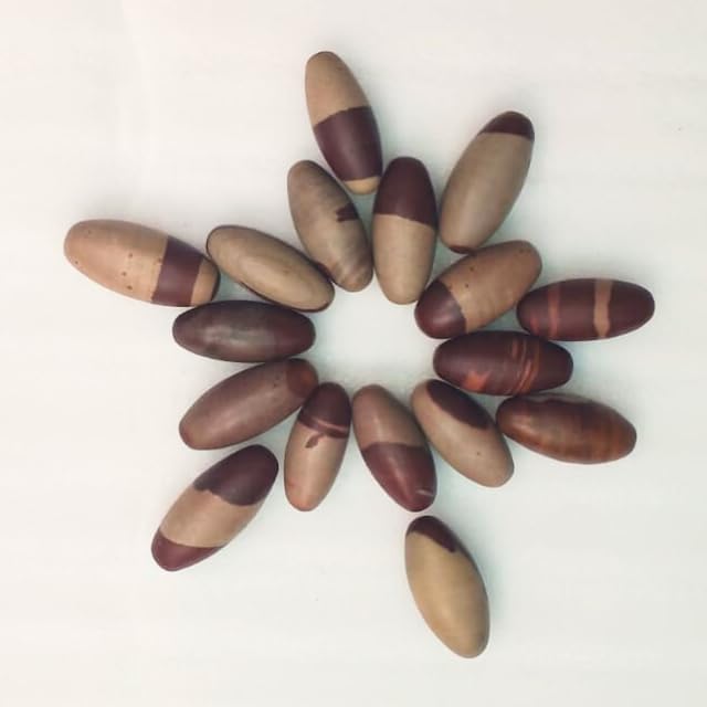 Narmada Shiva Lingam Stone 3" – Natural Banalinga from Narmada River India for Meditation, Reiki, Chakra Healing, Vastu, Shivratri, Sawan Puja, Adiyogi Worship, Spiritual Decor & Sacred Gift