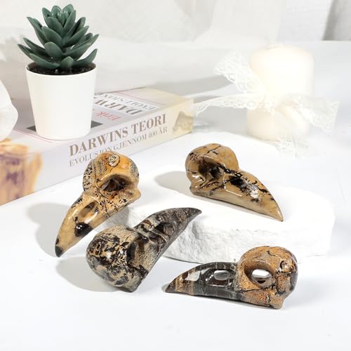 mookaitedecor Natural Grass Flower Jasper Crystal Dragon Skull Ornament Raven Skull