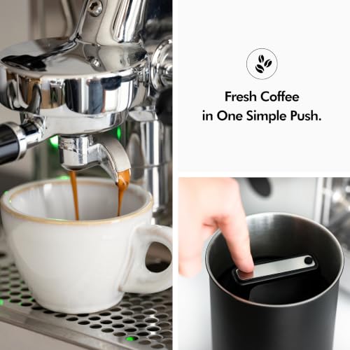 KIVY Vacuum Coffee Canister - Push Lid Preserves Coffee Aroma & Oil - Glass Medium