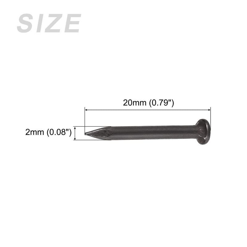 [Australia - AusPower] - Wall Cement Nails (2x20mm) 500pcs, Carbon Steel Hardware Nails - for House Maintenance DIY Woodworking, Black 