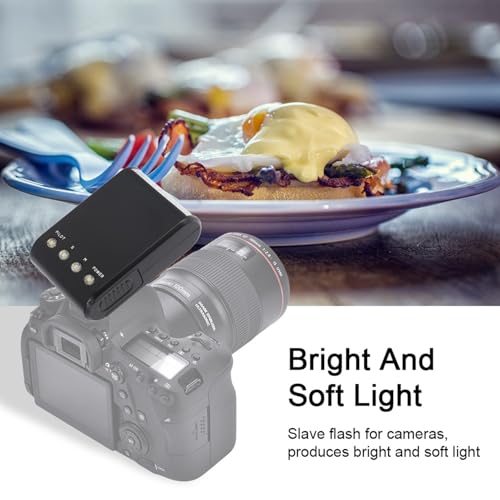 Hot Shoe Mount Flash, Photography Flash Light with Digital Slave Sensor, Auto Pre-Flash for DSLR Cameras, Studio Lighting Equipment for Indoor Photography, Portable Flash Light