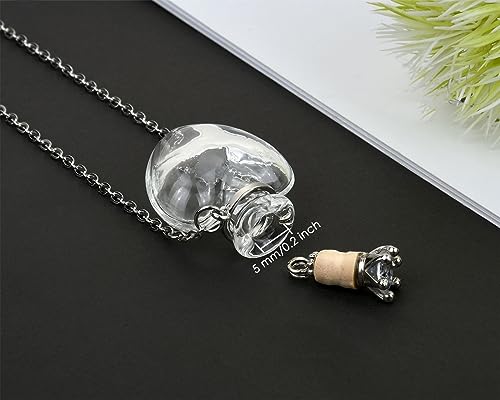 DS. DISTINCTIVE STYLE Vial Necklace Heart Shaped Perfume Bottle Pendant Blood Vial Necklace for Liquid Memorial Jewelry for Ashes Glass Keepsake Urn Necklace for Women