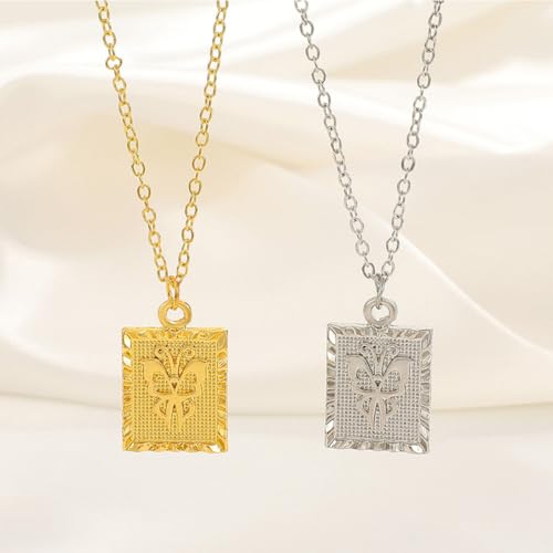 Veemoon Silver Alloy Geometric Clavicle Chain Necklace for Women Men