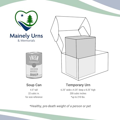 Mainely Urns Meadow Themed TSA Approved Fly-Safe and Temporary Travel Cremation Urn Kit for Human Ashes - Airline and Mail Friendly - 200 Cubic Inch Capacity - Green Plastic Urn with Floral Mailing