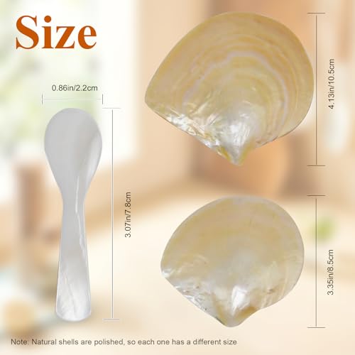 4 Pcs Natural Shell Plate Set, Includes 2 Gold Mother of Pearl Caviar Plates with 2 Pearl Spoons, Suitable for Storing Various Small Items or Holiday Gifts