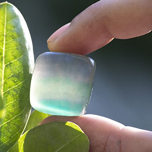 Crocon 13 Pcs Multi Fluorite Tumbled Stone Raw & Rocks Natural Crystal Bulk #003 Multi Fluorite