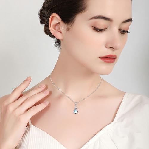 POPLYKE Moonstone Urn Necklace for Ashes 925 Sterling Silver Locket Necklace Cremation Jewelry for Women Men