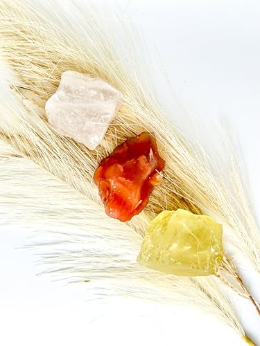ESOTHERIC Leo Birthday Gifts for Women- Zodiac Gifts Box Set with Crystals, Oracle Card Deck, Zodiac and Constellation Necklace, Succulent Candle, Incense Cones, Horoscope and Crystal Guide