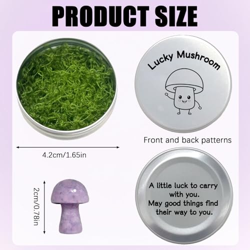 Amethyst Crystal Mushroom in Tin Box, Emotional Support Mushroom,Healing Crystal Gifts for Women, M-ushroom Trinkets & Gifts, Spiritual G-ift Set with Positive Affirmation