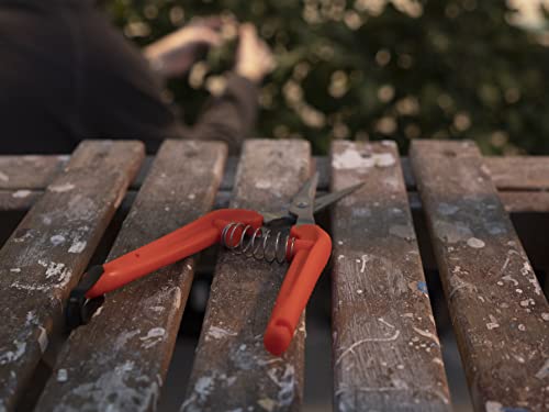 CHIKAMASA TP-530S Ultra Light Pruners by 近正, compact pruning scissors with sharp metal blades
