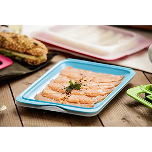 TATAY Set 4 cold meat container, with lid and body removed, in four colours, reusable and stackable, made of BpA-free plastic 17 x 3,2 x 25,2 cm Standard - Set of 4 - Assorted Colors