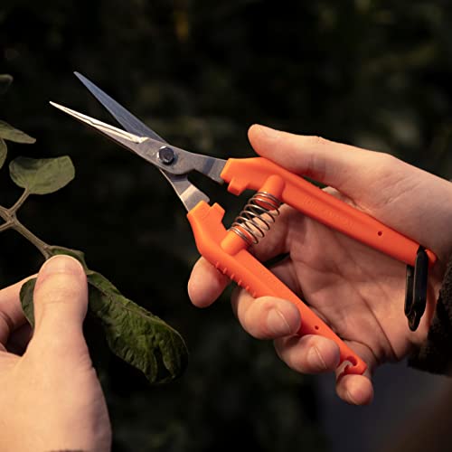 近正 CHIKAMASA TP-530S ultra light pruning scissors with sharp blades and ergonomic handles
