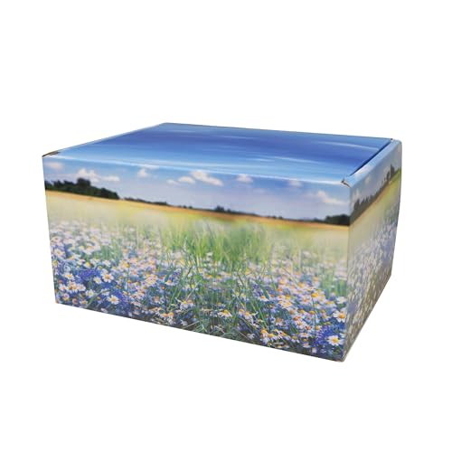 Mainely Urns Meadow Themed TSA Approved Fly-Safe and Temporary Travel Cremation Urn Kit for Human Ashes - Airline and Mail Friendly - 200 Cubic Inch Capacity - Green Plastic Urn with Floral Mailing