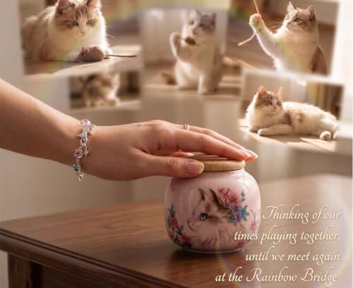 Cat Urn for Ashes, Small Ceramic Pet Urn with Rainbow Crystal Necklace