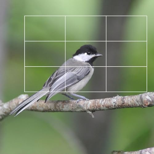 Rule of Thirds Photography Composition Viewer Finder,1 Pack Portable Enhance Photography/Painting/Drawing View Finder,Credit Card Size 1 pack