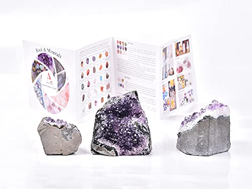 AMOYSTONE Amethyst Cluster Crystal Stone Rock Cluster Druzy Witchcraft Home Decor Small 0.5-1 LBS Irregular Unpolished Grade C Purple C 0.5-1 lbs.