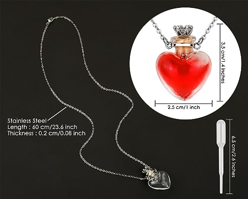 DS. DISTINCTIVE STYLE Vial Necklace Heart Shaped Perfume Bottle Pendant Blood Vial Necklace for Liquid Memorial Jewelry for Ashes Glass Keepsake Urn Necklace for Women