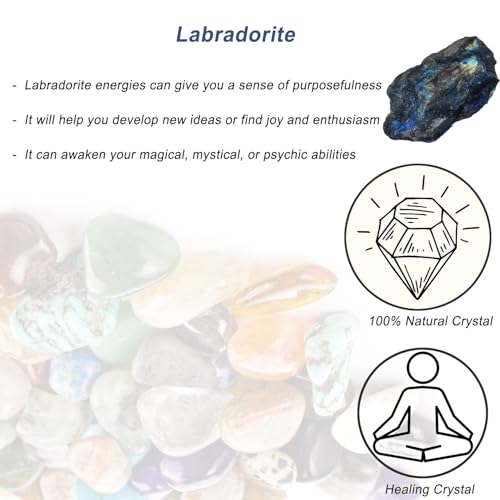 Erliway 1Pc Labradorite Raw Crystal Healing Stone for Tumbling 0.22-0.44 lb